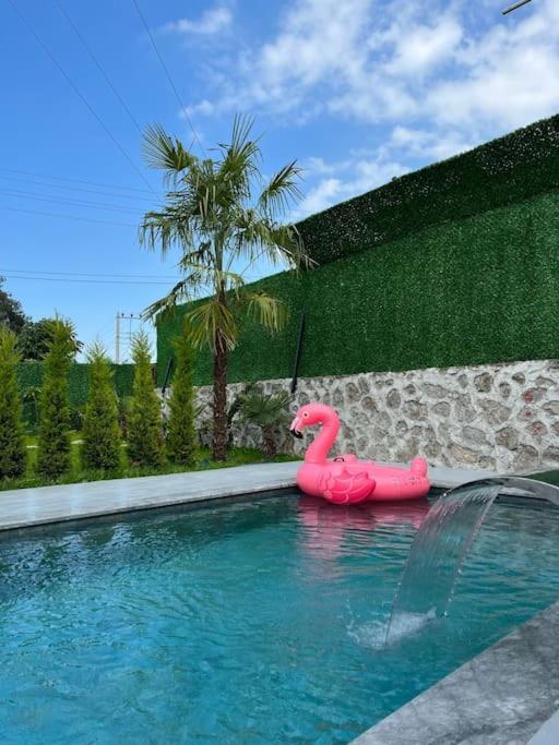 Shino Sapanca'Da Sicak Havuzlu Tatil Keyfi! Exterior foto